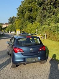 IMG_0950