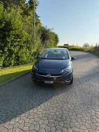 IMG_0952